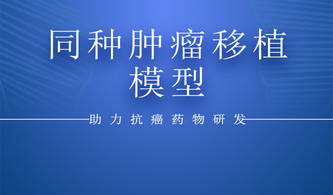 同种肿瘤移植模子.jpg