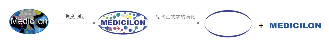 椭圆形作为自然界的完善形态，，象征着yl23455永利在顺应情形转变中一直演化