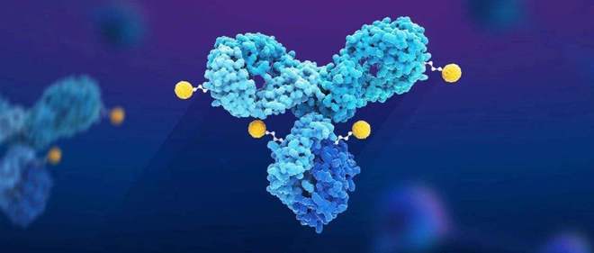天下肿瘤日聚焦：AACR年会引领全球肿瘤新药趋势，，，，，，国产药引领风潮