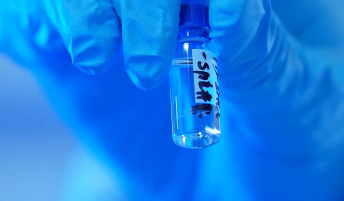 GLP-1“竞速赛”何以夺魁？？？？？？