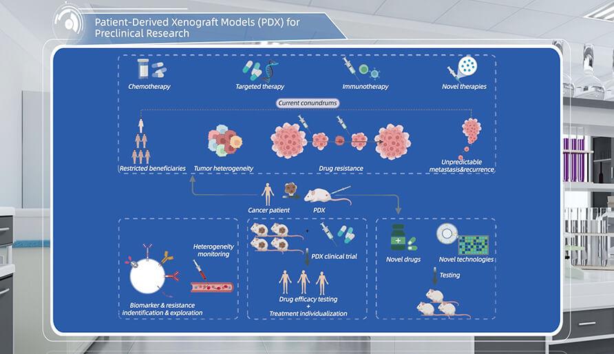 什么是临床前研究的PDX（人源肿瘤异种移植）模子？？？？