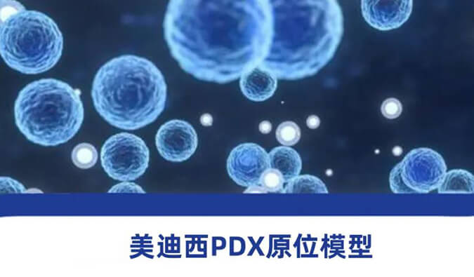 yl23455永利118种PDX原位模子，，，，，助力肿瘤药物研发