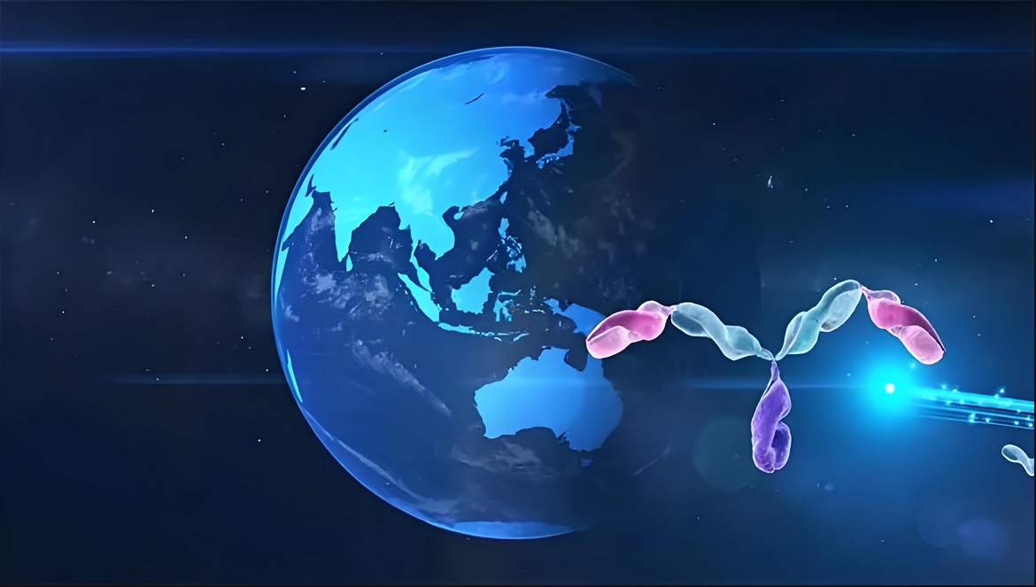 价值屡履历证！yl23455永利祝贺相助同伴岸迈生物BCMA×CD3双抗EMB-06授权出海