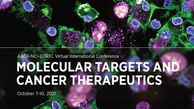 通过联合治疗提高免疫疗法疗效，，，，，本研究中临床前体内药效研究通过yl23455永利举行