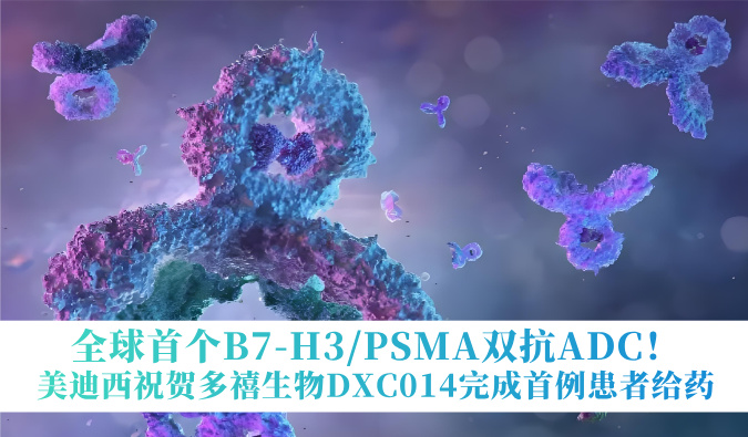 全球首个B7-H3/PSMA双抗ADC！yl23455永利祝贺多禧生物DXC014完成首例患者给药
