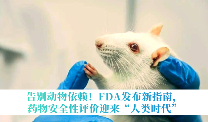 离别动物依赖！FDA宣布新指南，，，药物清静性评价迎来“人类时代”